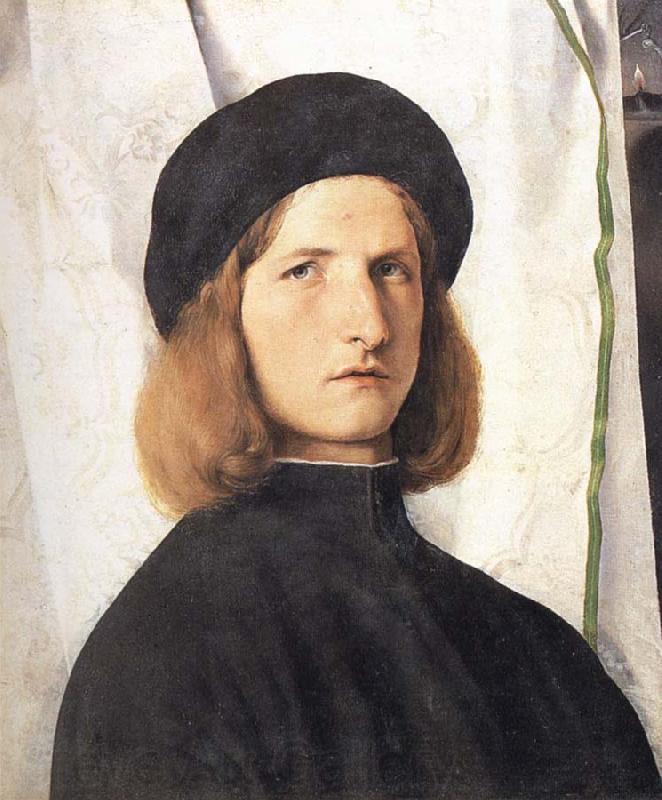 Lorenzo Lotto Portrait of a young man against a white curtain
